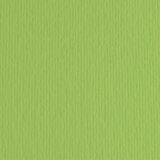 Fabriano elleerre hamer papir b1 220g - odaberite nijansu verde pisello ( 193009 ) Cene