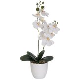 Casa Selección Umetna rastlina (višina 39 cm) Orchid – Cene