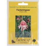 TROPICA Ingverjeva bakla Cene