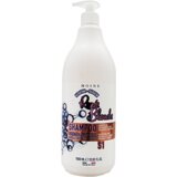  RB Moine - S1 Keratina Šampon za kosu 1000ml Cene