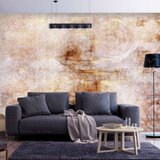  Tapeta - Magic Roses 450x315 Cijene