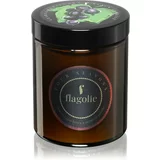 Flagolie Four Seasons Black Currant dišeča sveča 120 g