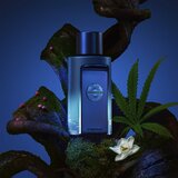 BANDERAS The Icon Supreme muški parfem edp 100ml | ePonuda.com
