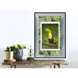  Poster - Toucan in the Frame 30x45 | shoptok.hr