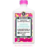 Lola Cosmetics BE(M)DITA GHEE SHAMPOO DE HIDRATAÇÃO vlažilni šampon 250 ml Cene
