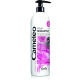 Delia šampon za kosu sa efektom ružičaste boje - pink effect - cameleo 500ml cene