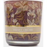 Sinsay Mirisna svijeća Velvet Orchid Slike
