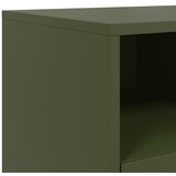 TV ormarić maslinastozeleni 100,5x39x60,5 cm čelični | shoptok.hr