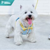  Tuffhound Am sa povocem za pse, L, Svetloplavi Cene