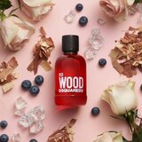 Dsquared2 Red Wood Eau De Toilette 100 ml (woman) | shoptok.hr