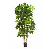 Floraworld Veštačka šeflera h214 zelena | Eponuda.com