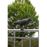 Esschert Design Vrtno strašilo vrana Esschert (12,9 x 36,2 x 22,2 cm, jeklo) | Shoptok.si