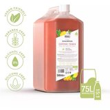 Wahl copper tones šampon za ljubimce | ePonuda.com