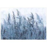  Tapeta - Tall Grasses - Grey 450x315 | shoptok.hr