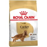 Royal Canin Cocker Adult - Varčno pakiranje: 2 x 12 kg | shoptok.hr