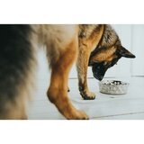  Hranilica za pse Hunter Silikon Nehrđajući Čelik 4 1 L | shoptok.hr