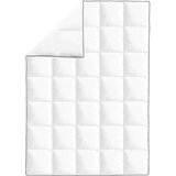 vidaXL Zimska prešita odeja z gosjim perjem 155x220 cm, (20756443) | Shoptok.si