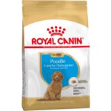Royal Canin Breed Nutrition Pudla Puppy - 3 kg Cene