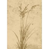 Venture Home poster Plant Art 50 × 70 cm, bež | shoptok.hr