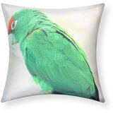AVIZAR Komplet 2 prevlek za blazine 40x40 cm Zelena Macaw Design, Blanc / Vert, (21747237) | Shoptok.si