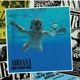 Nirvana Nevermind (Vinyl Box)