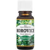 Saloos Essential Oil Pine 10ml Cene