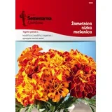 Žametnica nizka mešanica - 2 g
