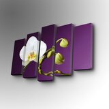 Wallity 5PUC-112 multicolor decorative canvas painting (5 pieces) Cene