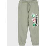 Sinsay Donji dio trenirke loose jogger Minecraft | shoptok.hr