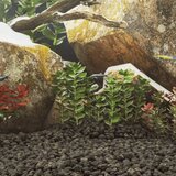 vidaXL Vulkanski kamen 10 kg črn 5-8 cm | Shoptok.si