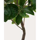 Kave Home Umjetni fikus (visina 210 cm) Ficus – | shoptok.hr