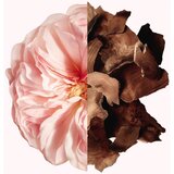 Givenchy Irresistible mirisi za kosu za žene 35 ml | shoptok.hr