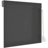  Roletna Antracit 100 x 100 cm Aluminij i poliuretan | shoptok.hr
