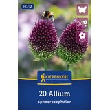 KIEPENKERL Okrasni luk - 20 k. Cene