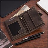 Beltimore s49 sarena | shoptok.hr