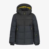 Icepeak louin jr | ePonuda.com