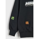 Sinsay Pamučna crewneck majica s vezom Minecraft | shoptok.hr