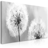  Slika - Fluffy Dandelions (1 Part) Grey Wide 100x45 Cijene