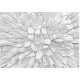  Tapeta - White dahlia 200x140 | shoptok.hr
