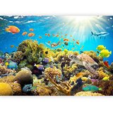 Artgeist Foto tapeta - Underwater Land 450x315 Slike