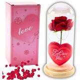  Rose in Dome with LED Lighting Red with Heart 18.5x8cm | Shoptok.si