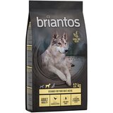 briantos - BREZ ŽIT suha pasja hrana 2 x 12 kg po posebni ceni! - Adult Mobility piščanec & krompir - BREZ ŽIT Cene