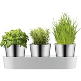 Wmf set s 3 posude od nehrđajućeg čelika za biljke Gourmet | shoptok.hr
