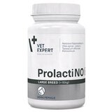  Prolactino Large Breed 40 Tableta Cene