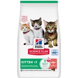 Hill’s Hill’s Science Plan Cat Kitten – Losos 1.5 kg | Eponuda.com