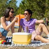  Prenosna hladilna skrinja Lilty InnovaGoods 15 L | Shoptok.si