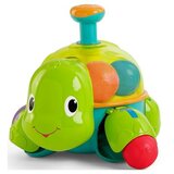 Kids II kornjača sa lopticama Cene