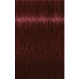Schwarzkopf igora Royal - 4-88 srednje rjava ekstra rdeča, 60 ml | Shoptok.si