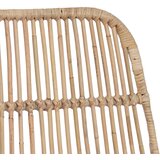Barska stolica 2 pcs Prirodna 44 x 54 x 96 cm Ratan i Čelik | shoptok.hr