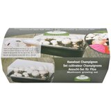 Esschert Design Sistem za gojenje Field Mushroom – | Shoptok.si
